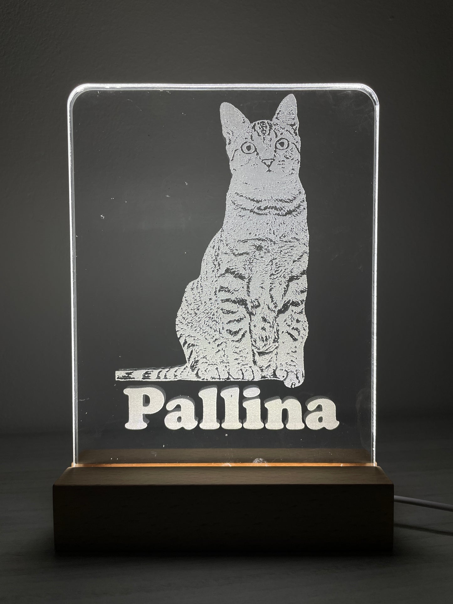 Lampada led personalizzata con la tua immagine e testo